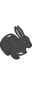 mini pan pan decorative rabbit black